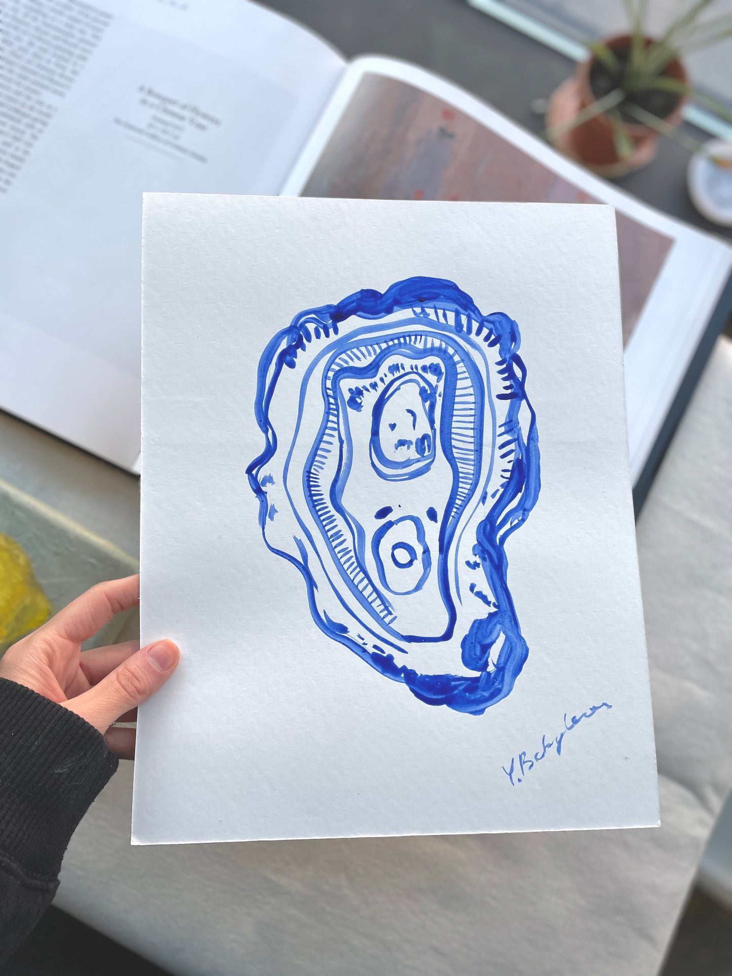 "Oyster Collection"