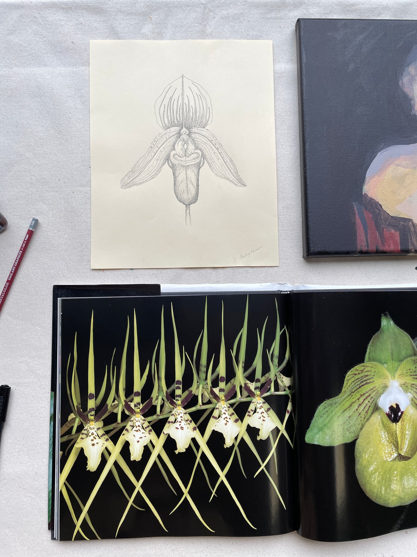 "Orchid Collection"