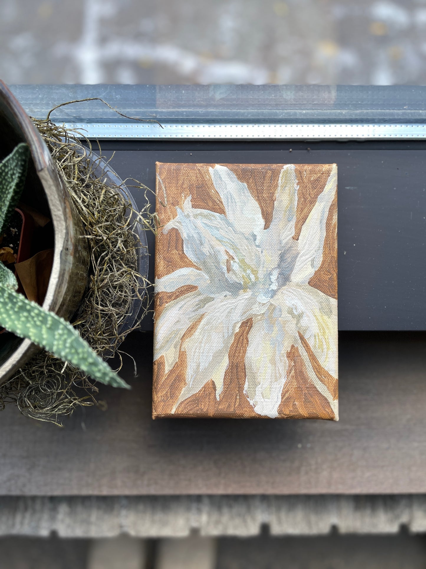 bohohome botanical