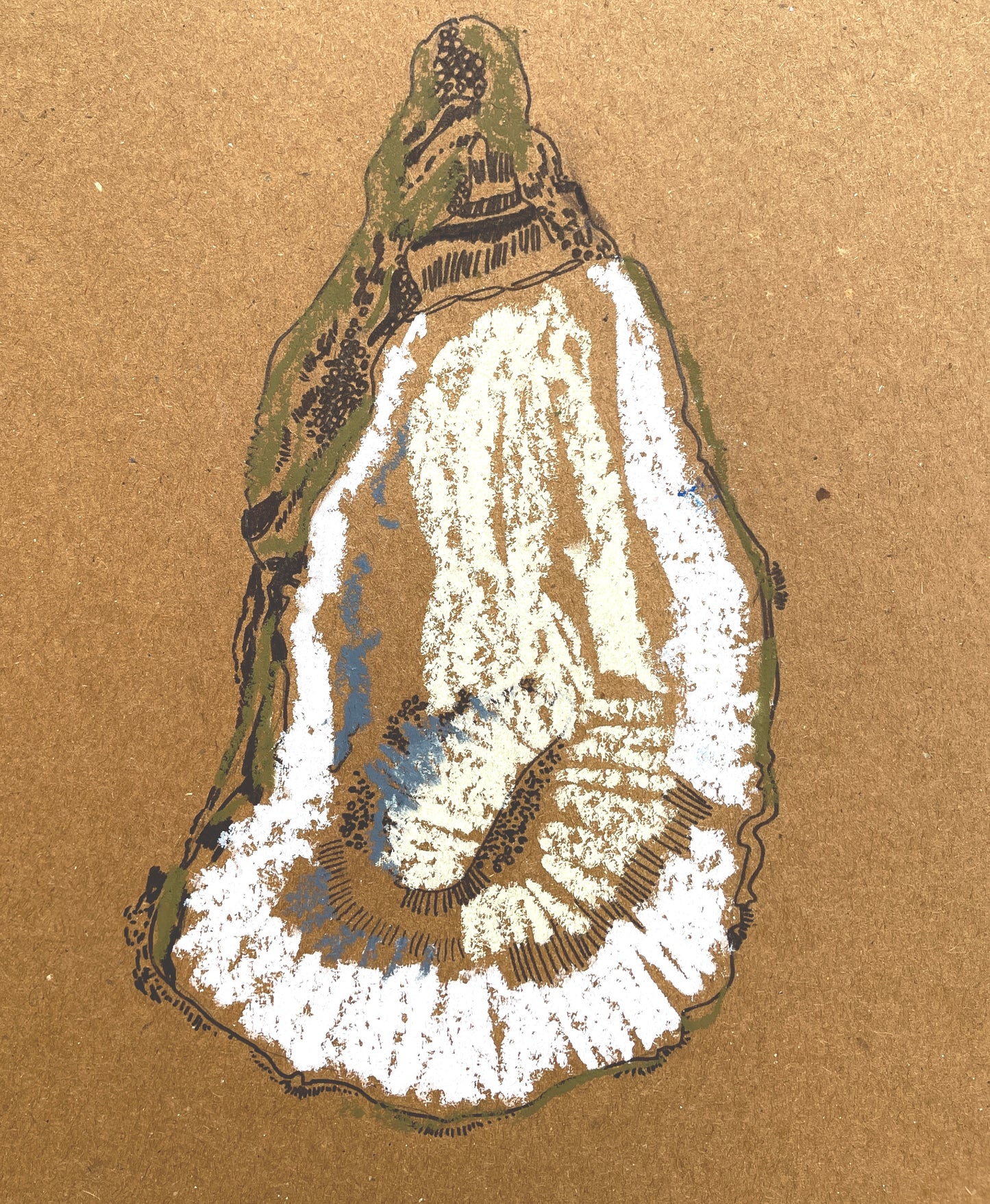 "Oyster Collection"