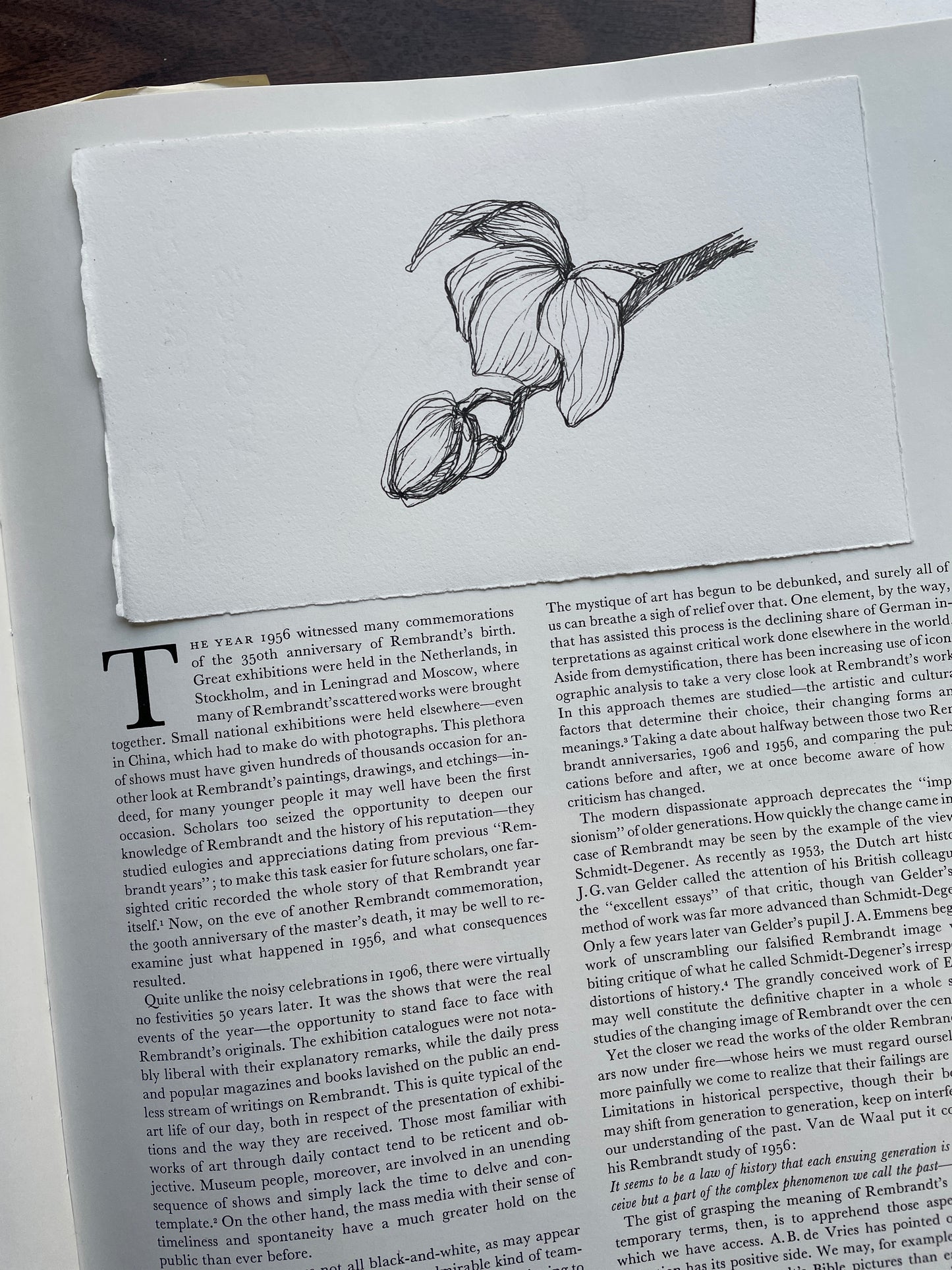 X SOLD Orchid original drawing in black gel pen on paper.