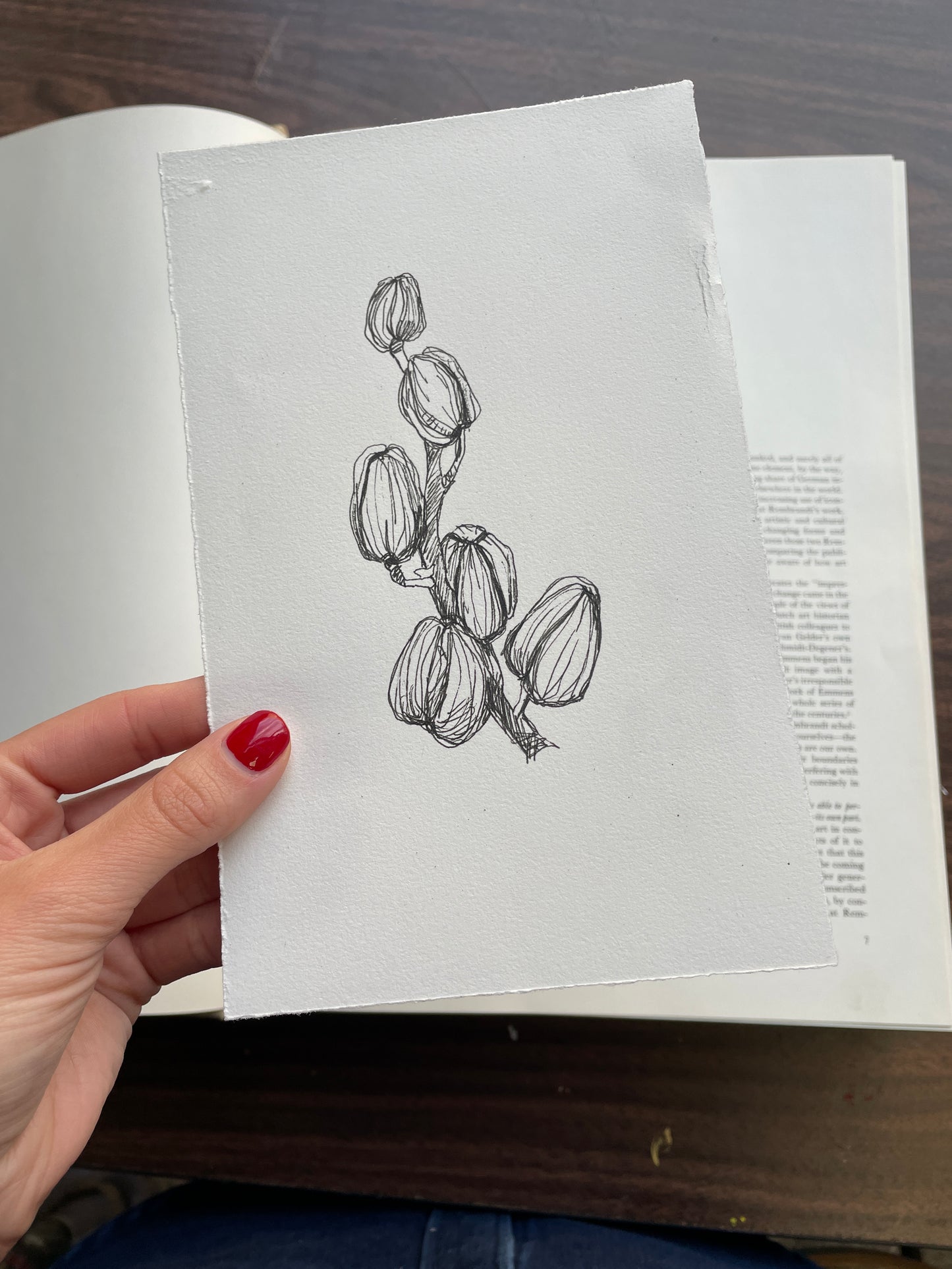 X SOLD Orchid original drawing in black gel pen on paper.