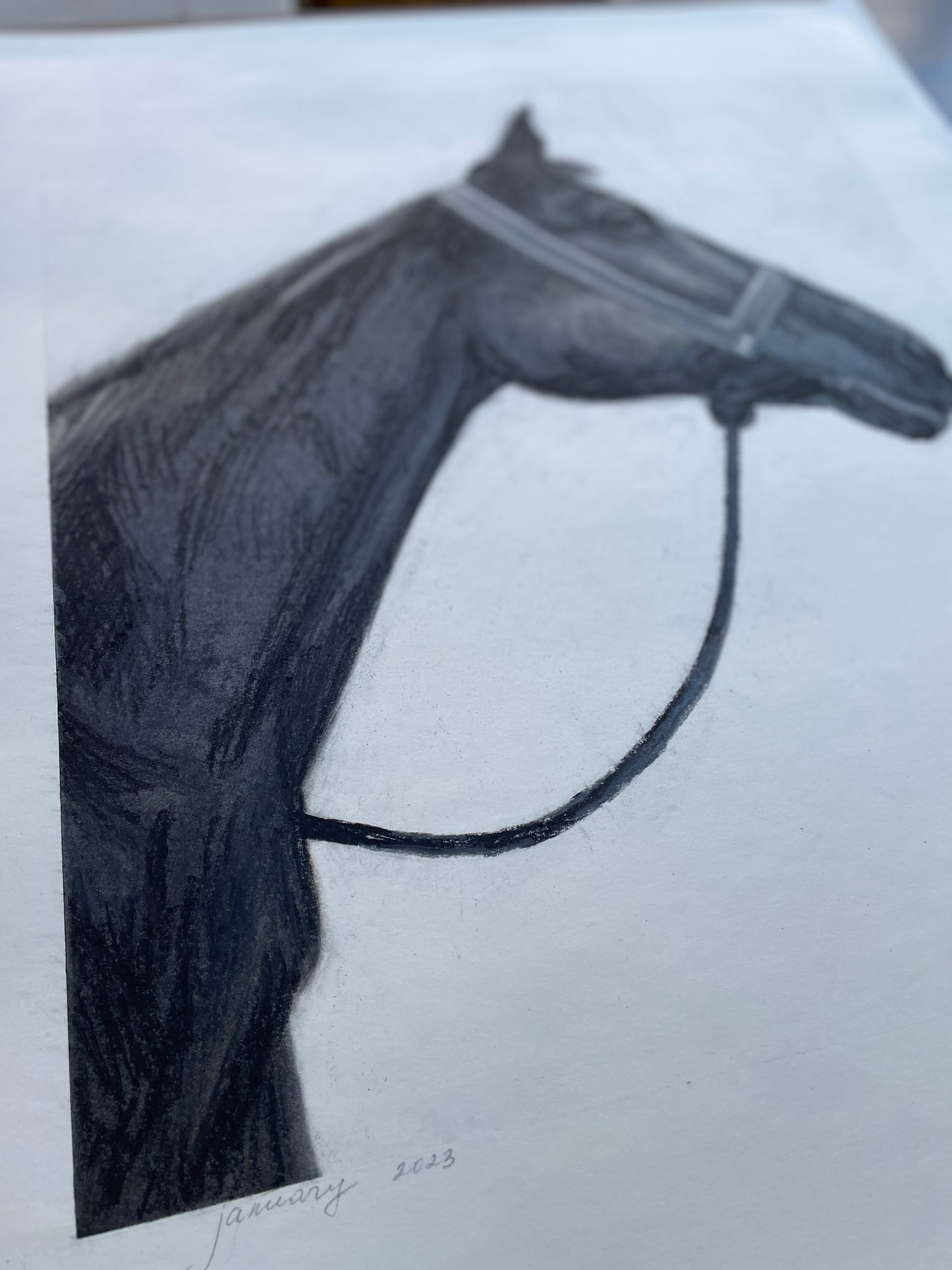 Large drawing of a horse in intricate detail