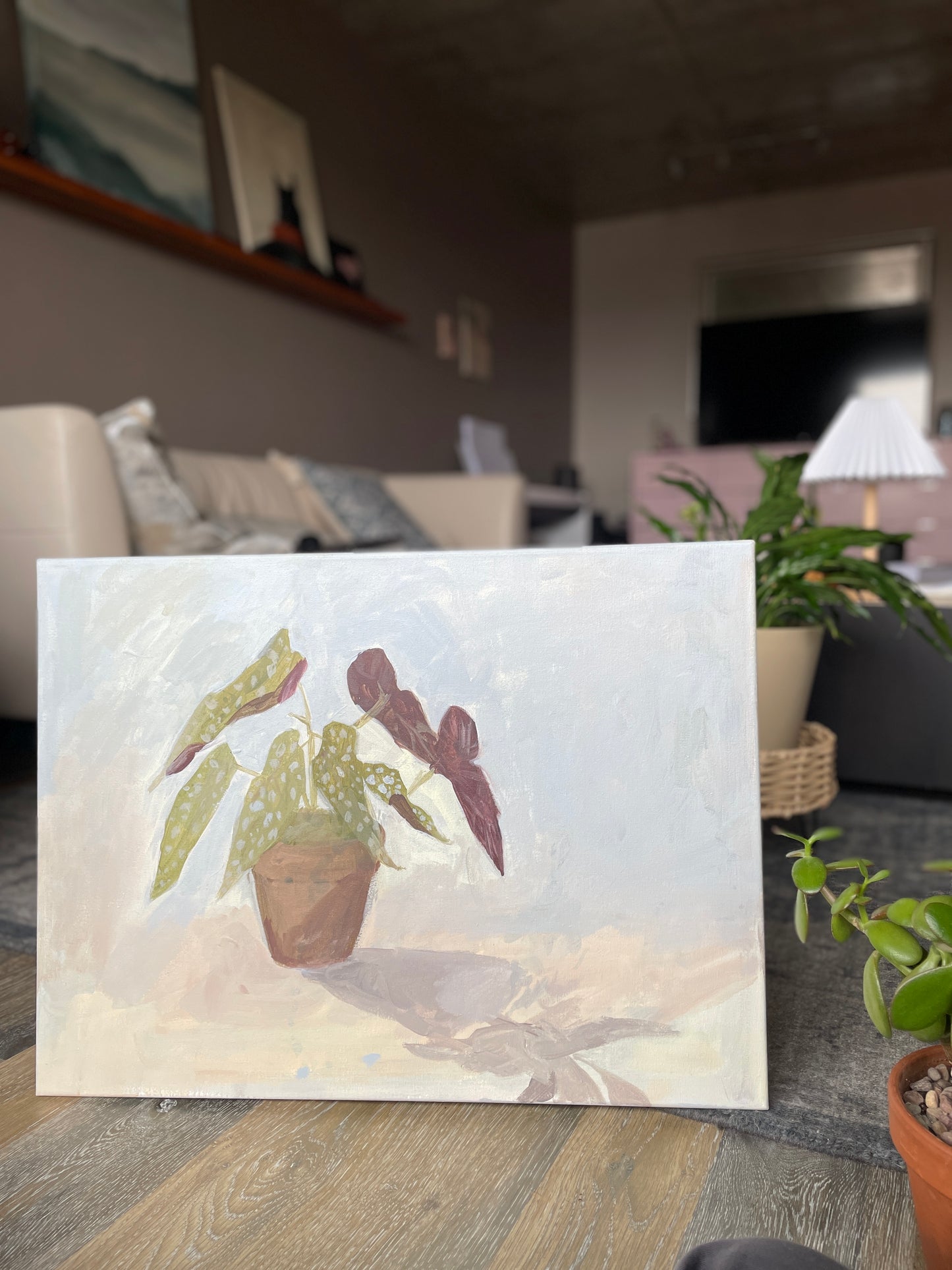 "Begonia Plant"