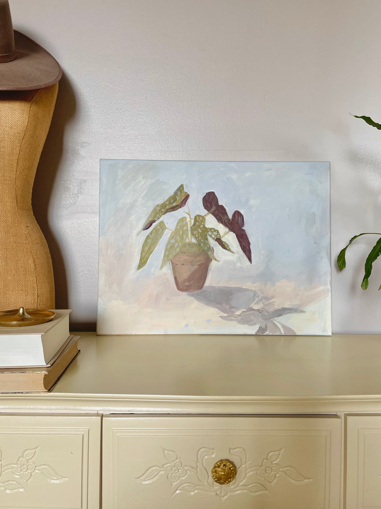 "Begonia Plant"