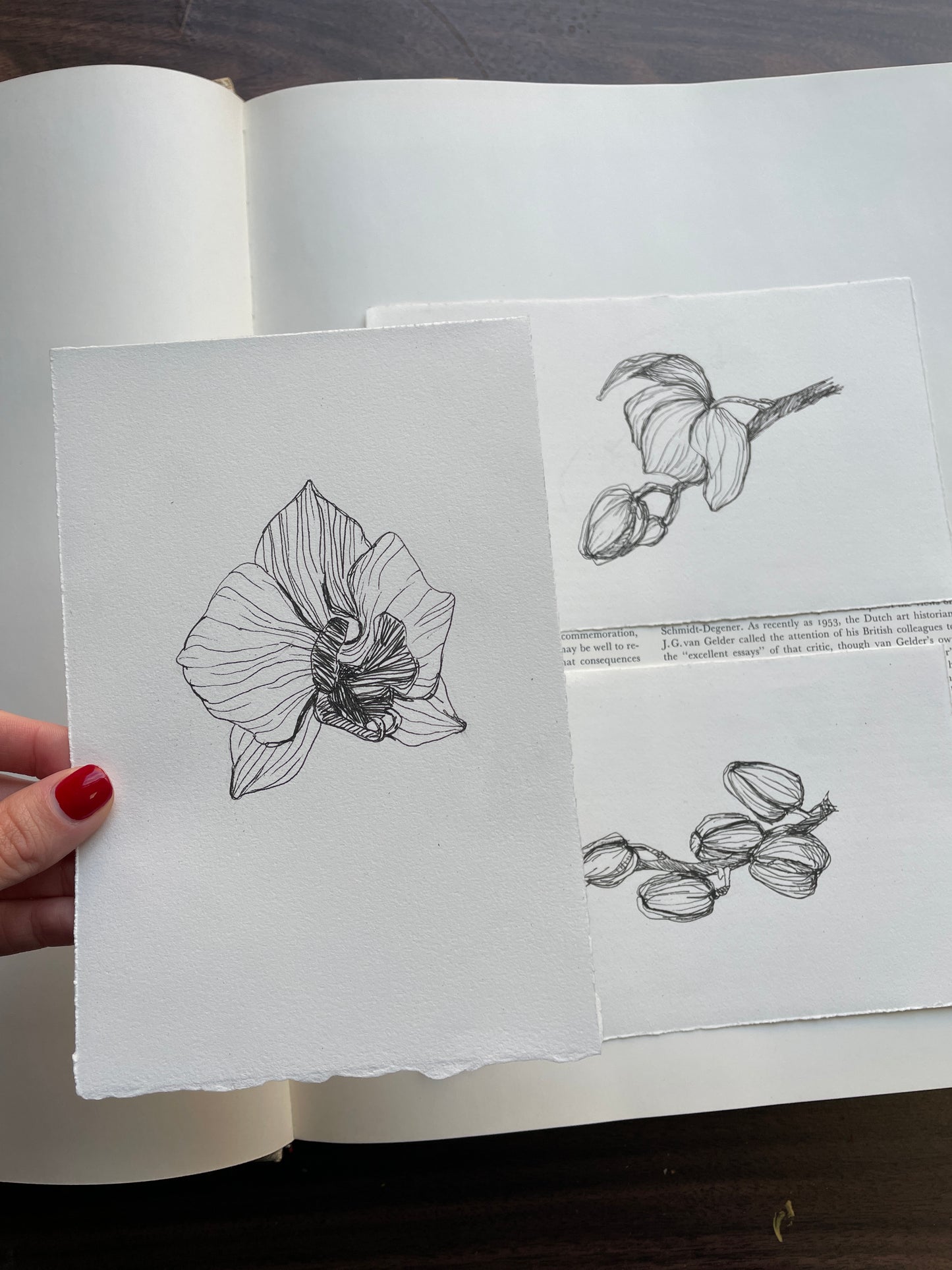 X SOLD Orchid original drawing in black gel pen on paper.