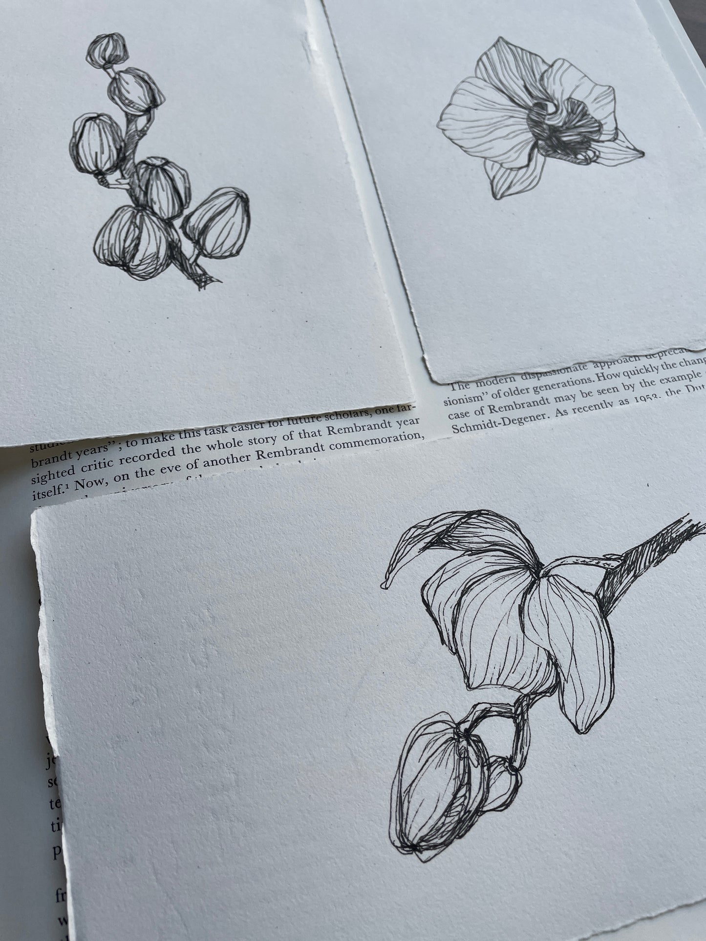 X SOLD Orchid original drawing in black gel pen on paper.