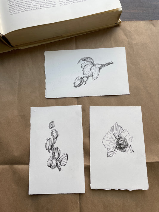 X SOLD Orchid collection of three original drawings. Gel pen on paper.