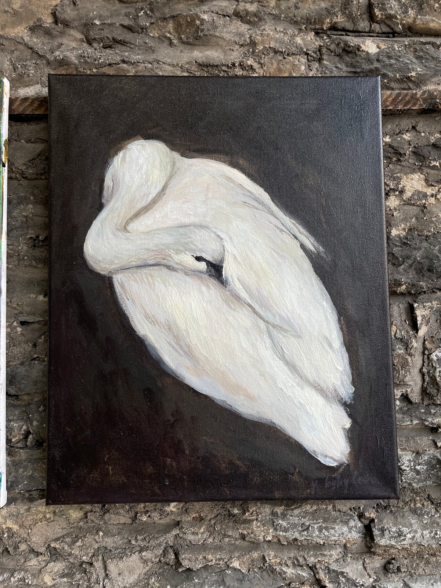 X SOLD "Baby Swan"