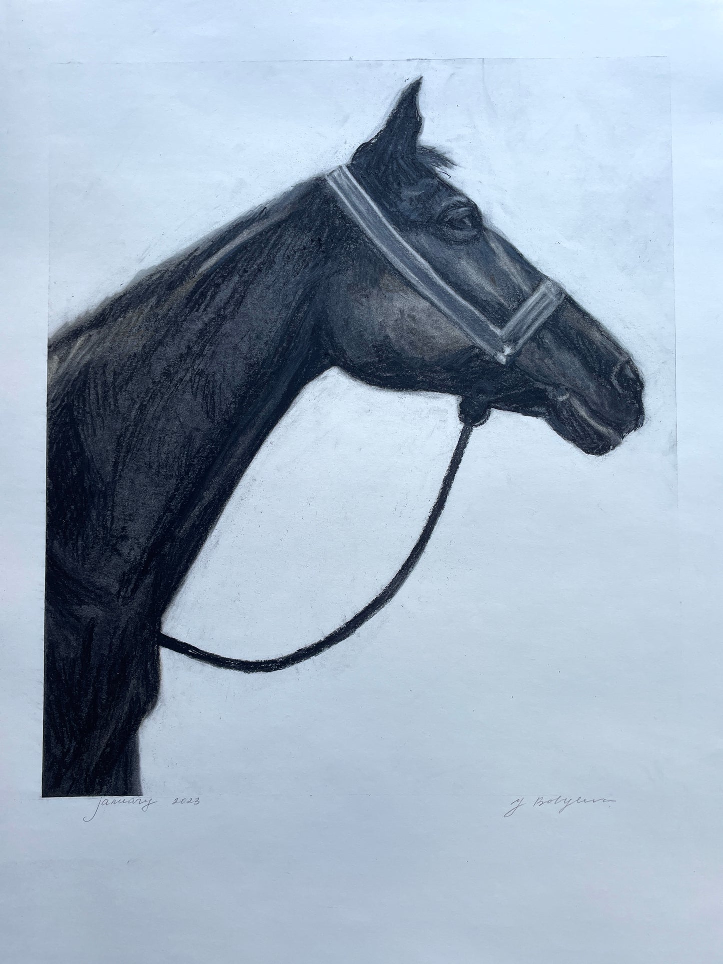 Detailed artwork of a horse in black and white
