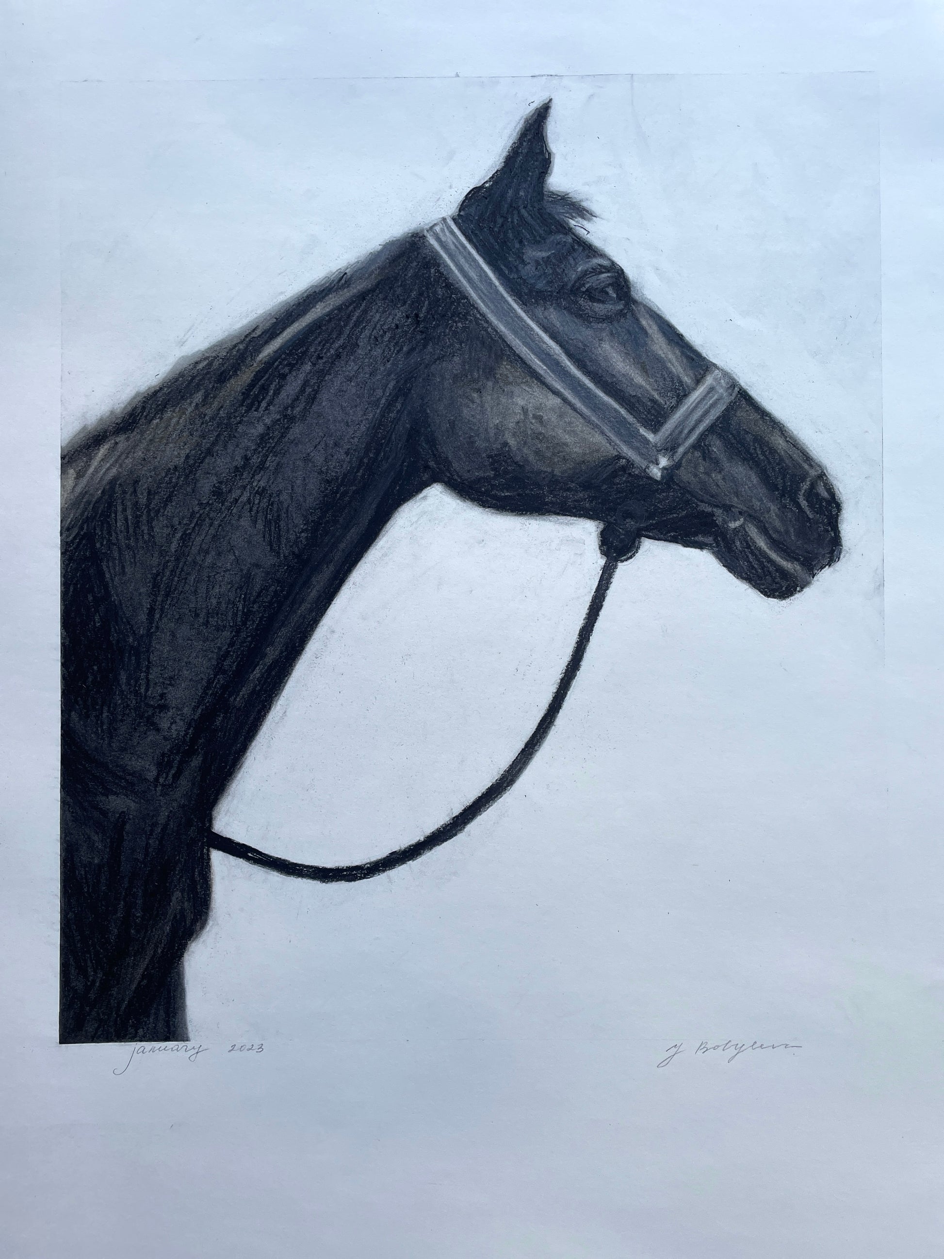 Realistic charcoal artwork of a powerful horse