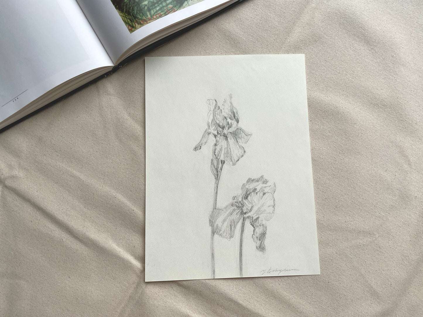 Beautiful botanical artwork of irises on neutral pastel paper