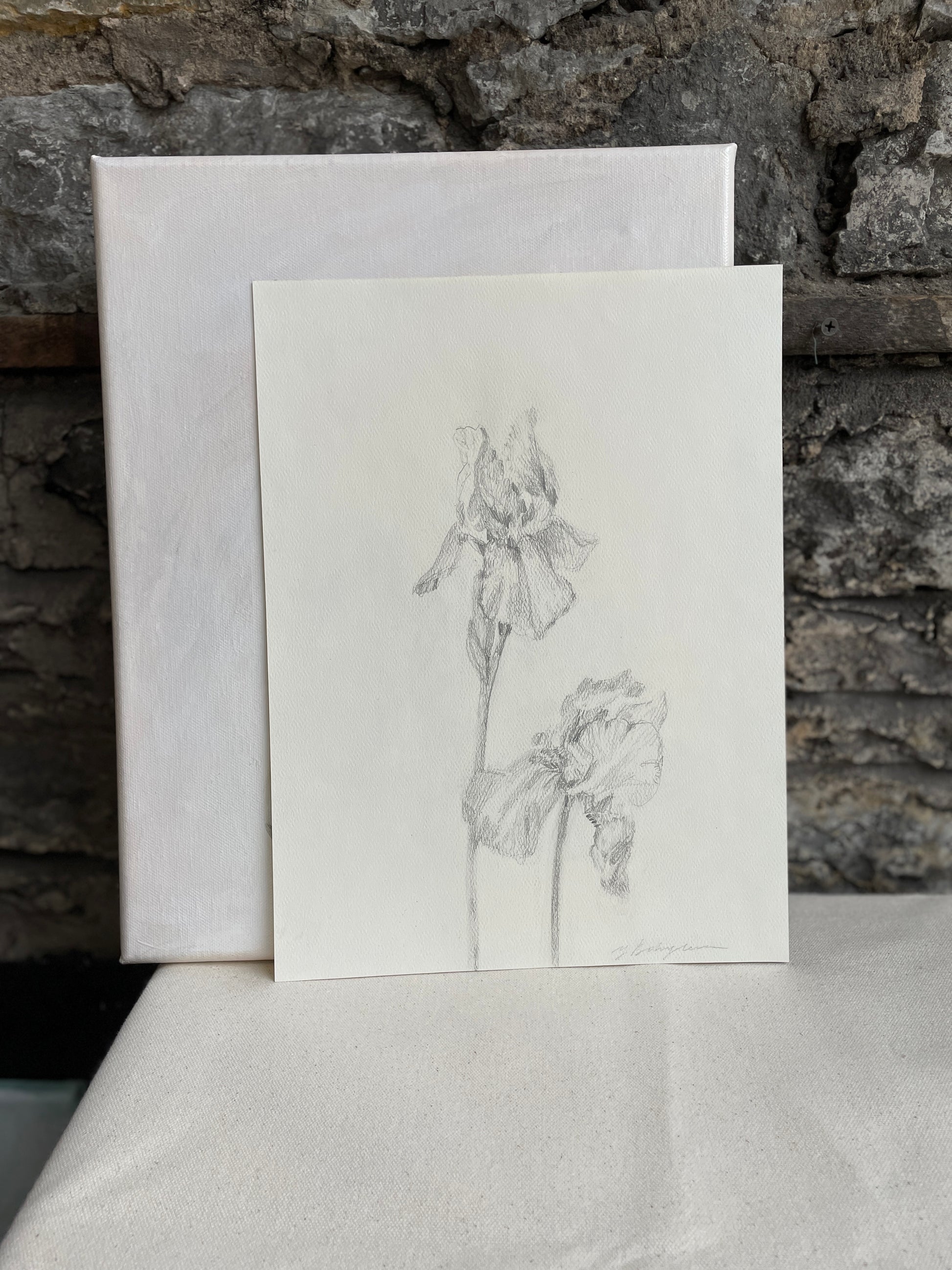 Stunning hand-drawn irises illustration on pastel paper