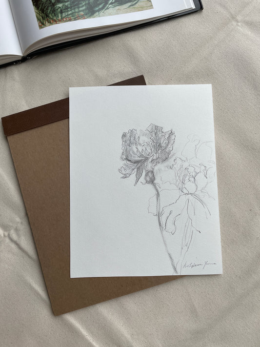 Hand-drawn graphite pencil peonies on beige paper