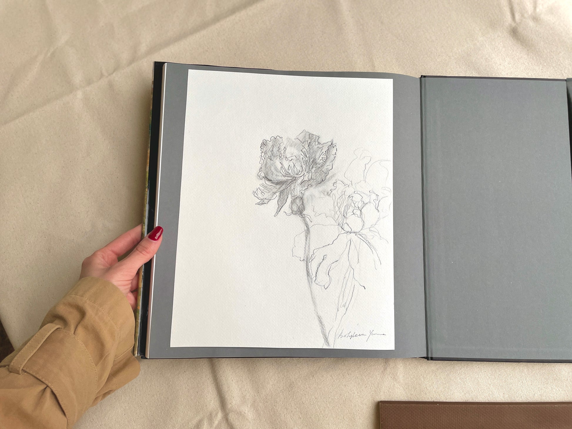 Two peonies in graphite pencil on a textured beige background
