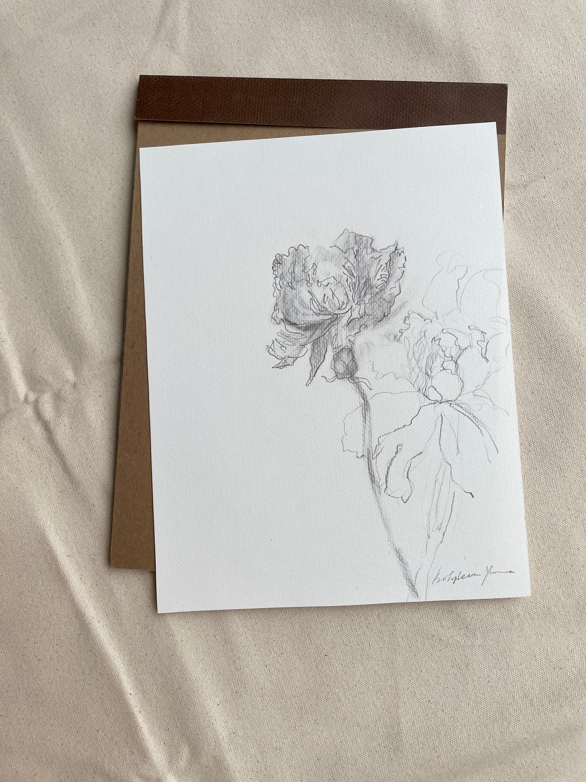 Graphite pencil drawing of two blooming peonies