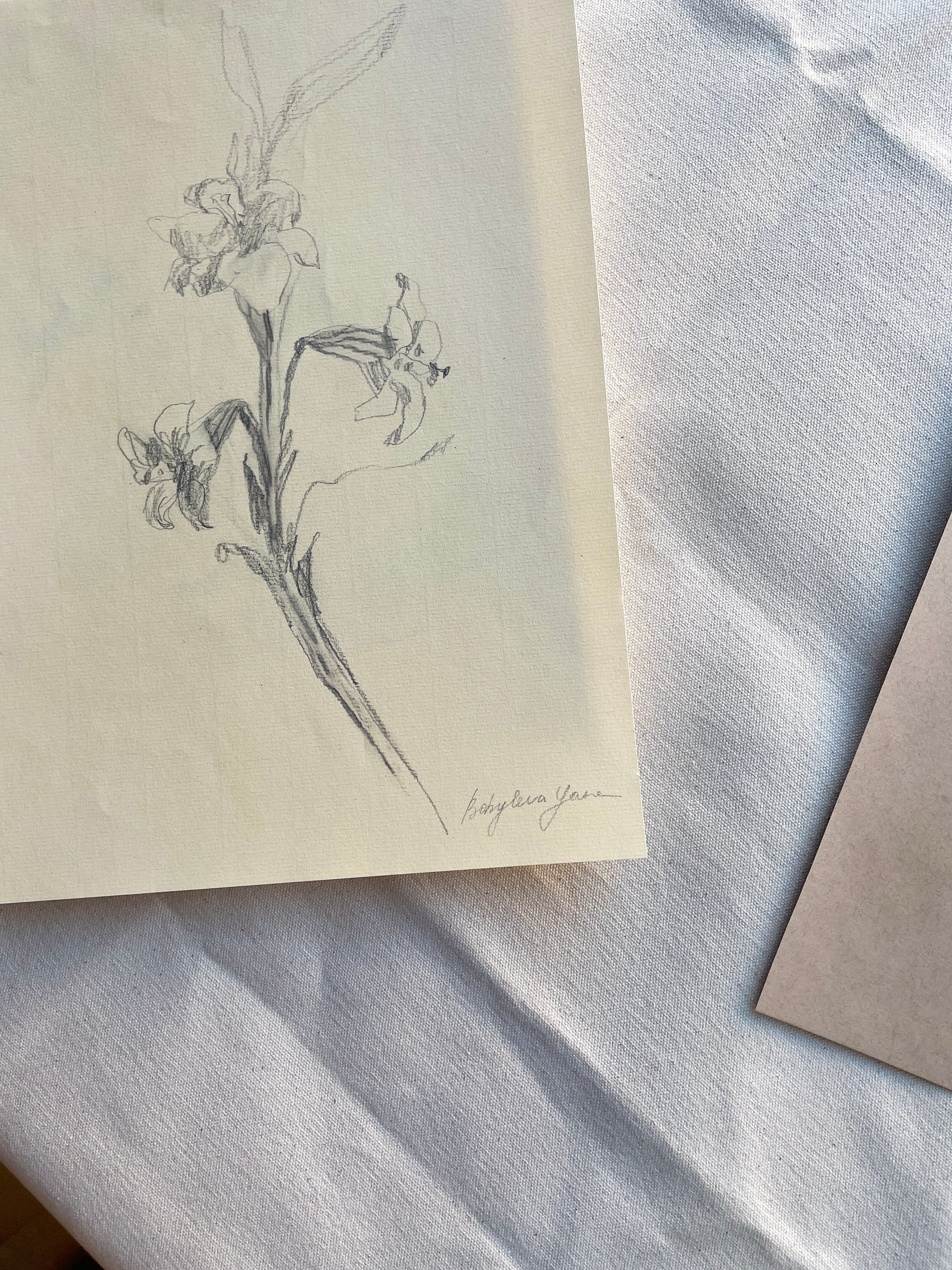 Hand-drawn graphite pencil floral sketch on beige paper
