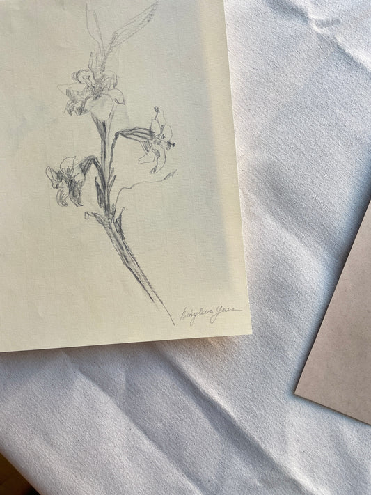 Hand-drawn graphite pencil floral sketch on beige paper