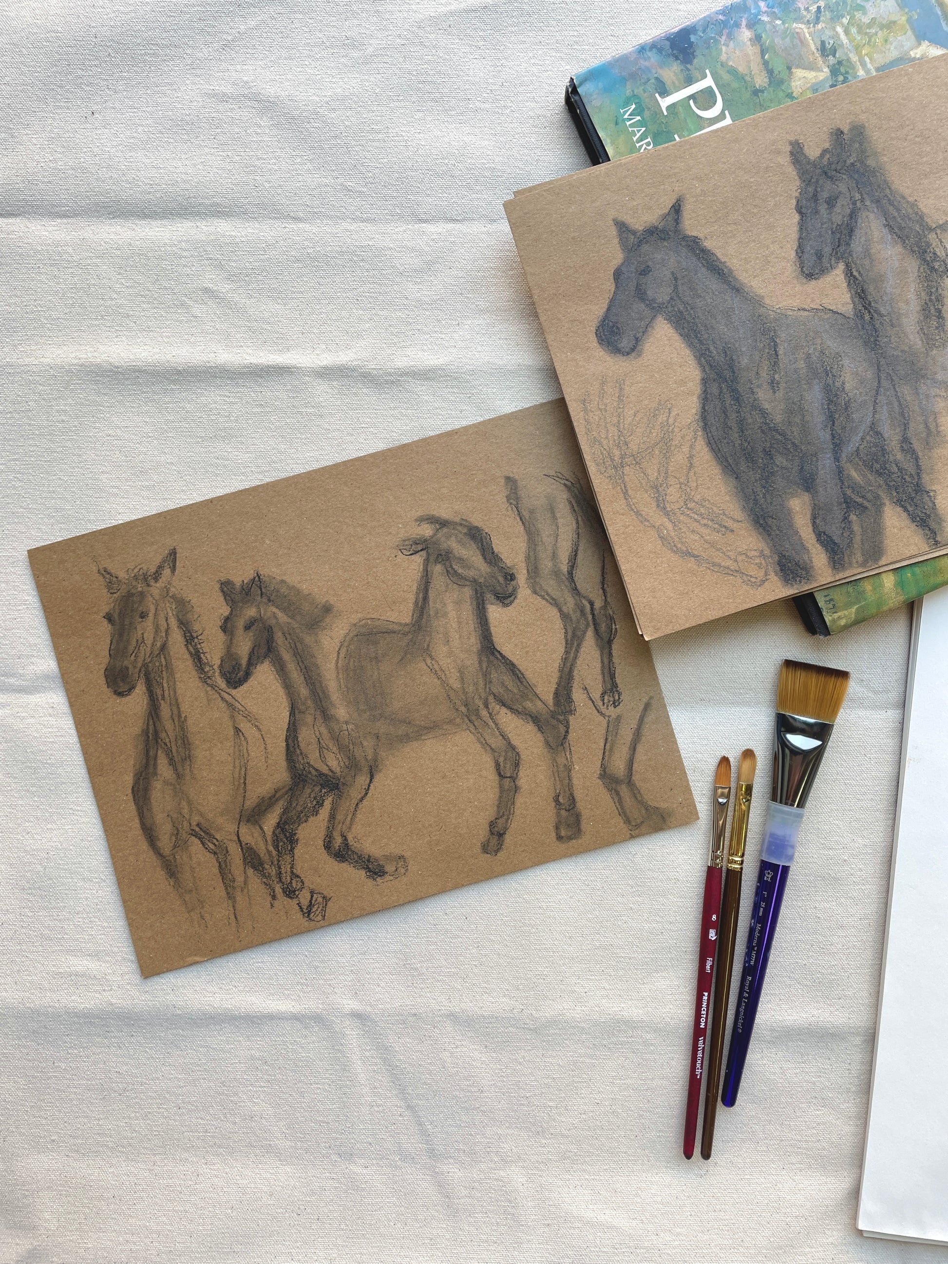 Horse study with fluid lines and energetic movement